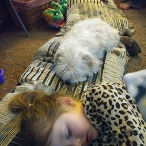 Meet your Posher, Abby